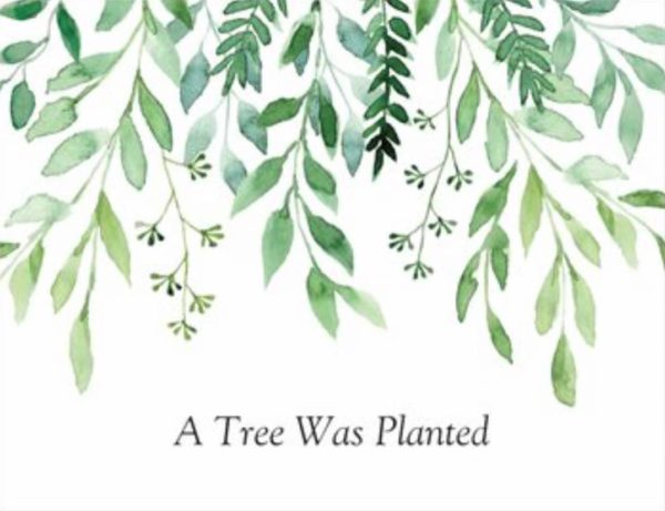 A Tree Was Planted Dedication Card