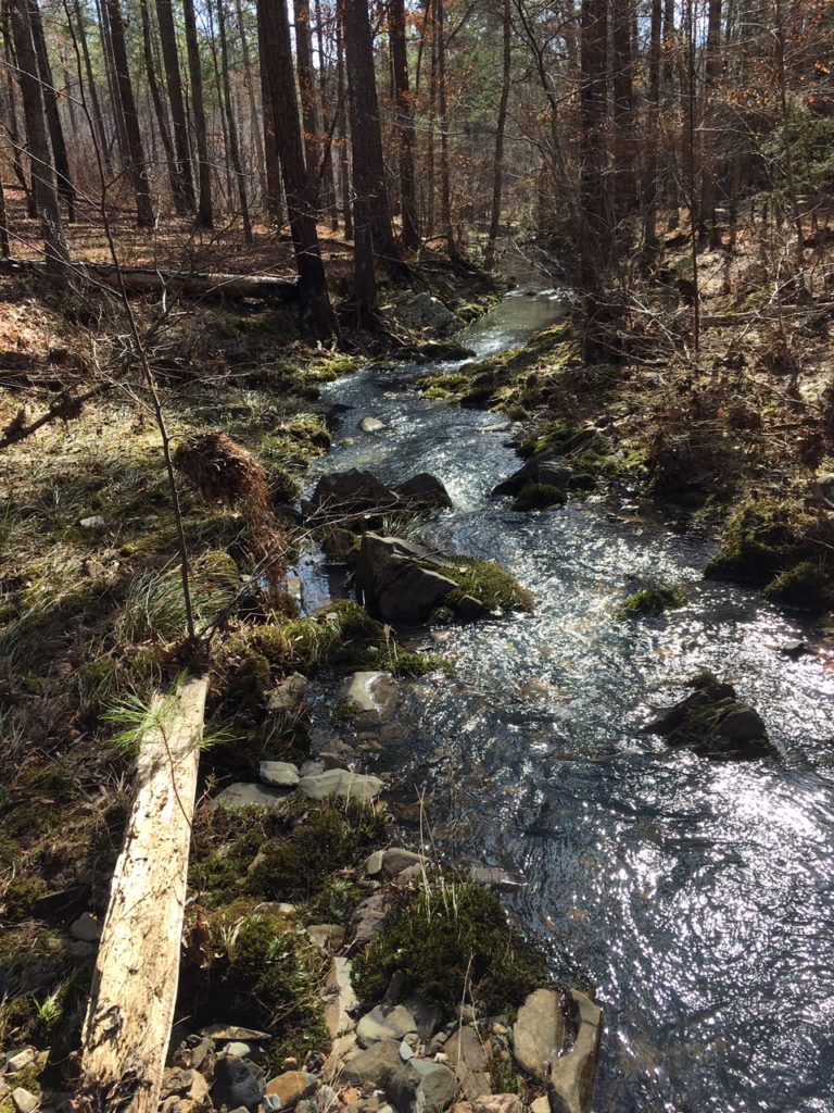 A creek on the Two Churches Project